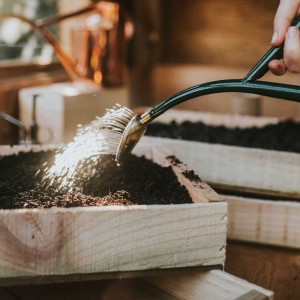 Pomme d'arrosage Haws Baby Rose 300 2