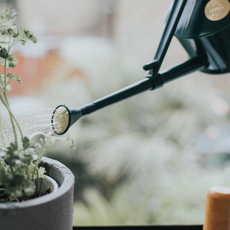 Arrosoir de Serre Langley Sprinkler