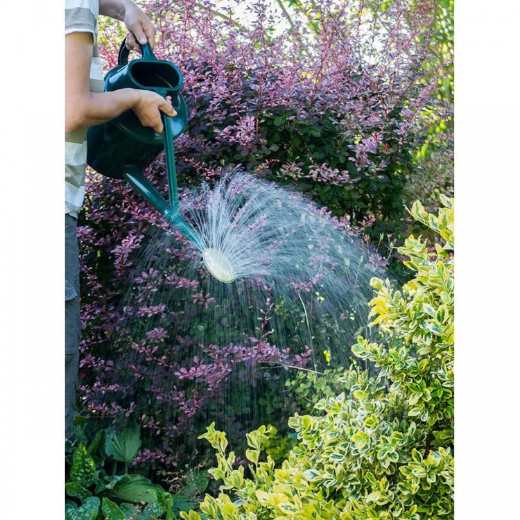 Arrosoir Cradley Deluxe