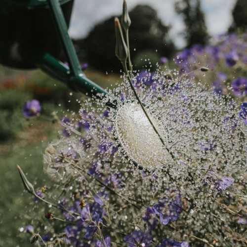 Arrosoir Haws Cradley Cascader