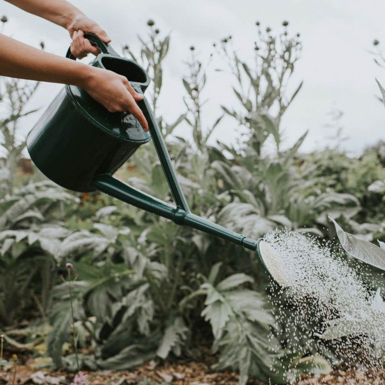 Pomme d'Arrosoir Haws 330