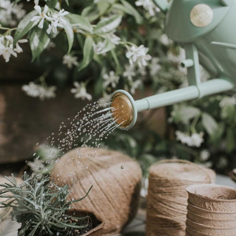 Arrosoir d'intérieur Haws, the Bartley Burbler