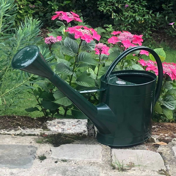 Arrosoir Anglais Waterfall British...