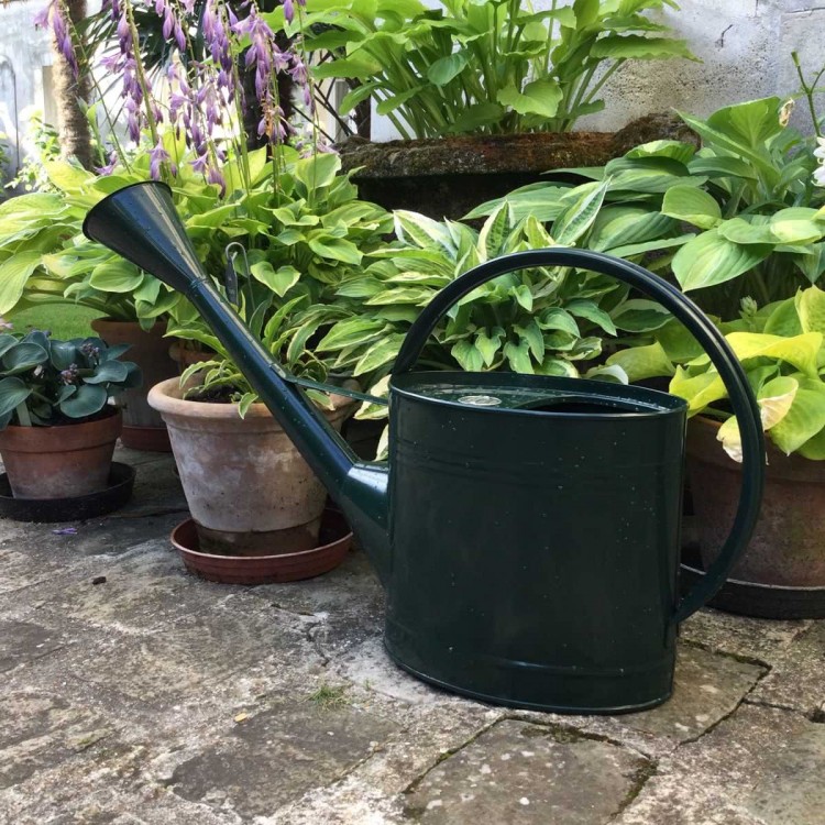 Arrosoir Anglais Waterfall British...