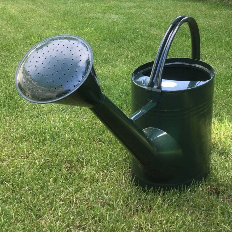 Arrosoir Anglais Waterfall British...