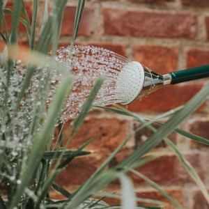 Pomme d'arrosage Haws Round Pot Rose Fine Spray 2