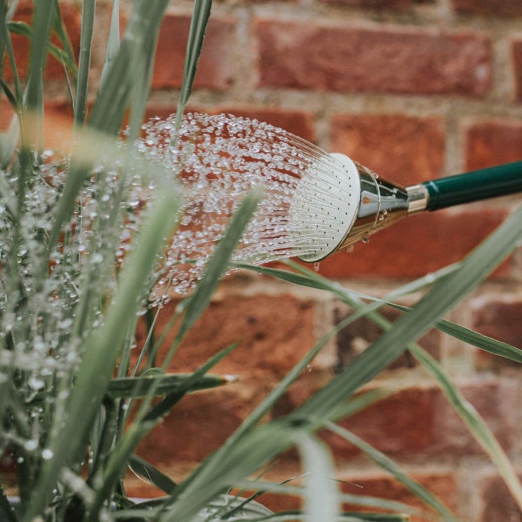 Pomme d'arrosage Haws Round Pot Rose Fine Spray