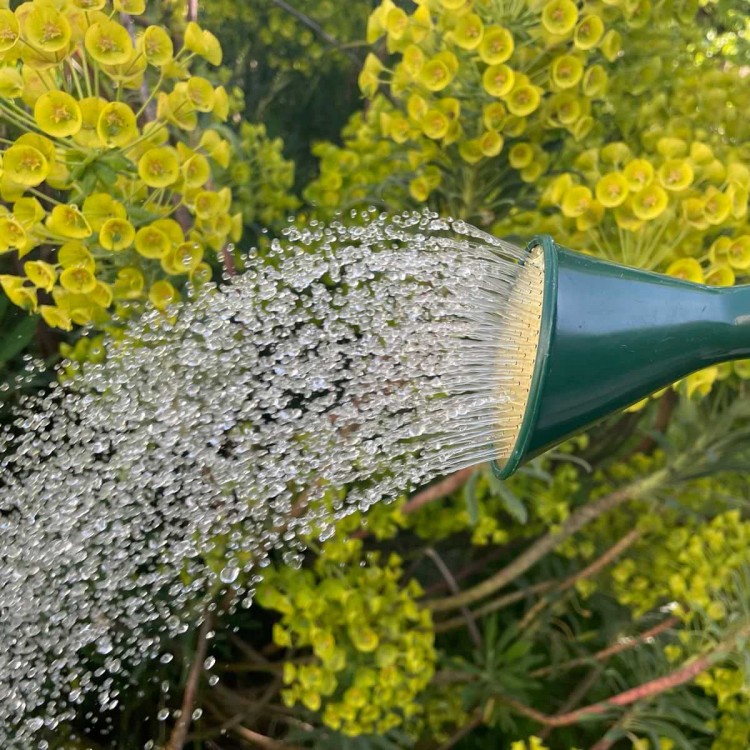 Pomme d'Arrosage Haws 335 Round Plastic Rose