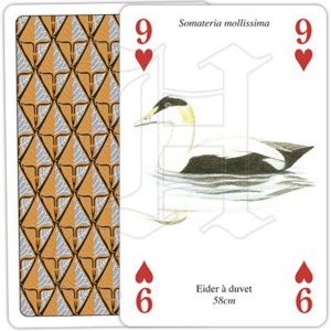 Jeu de 54 cartes Oiseaux de la Mer 2