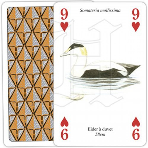 Jeu de 54 cartes Oiseaux de la Mer