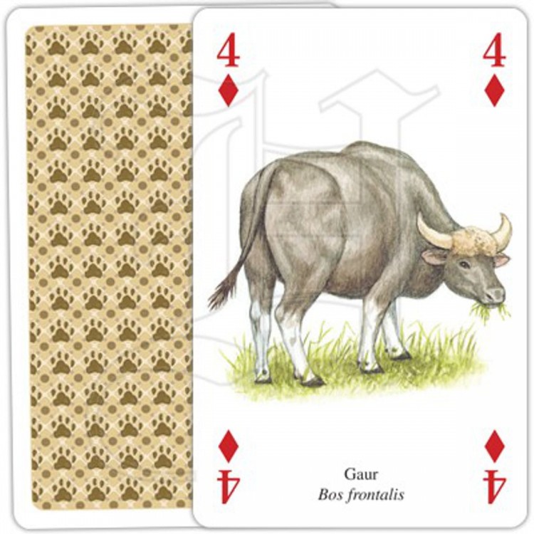 Jeu de cartes Animaux d'Asie