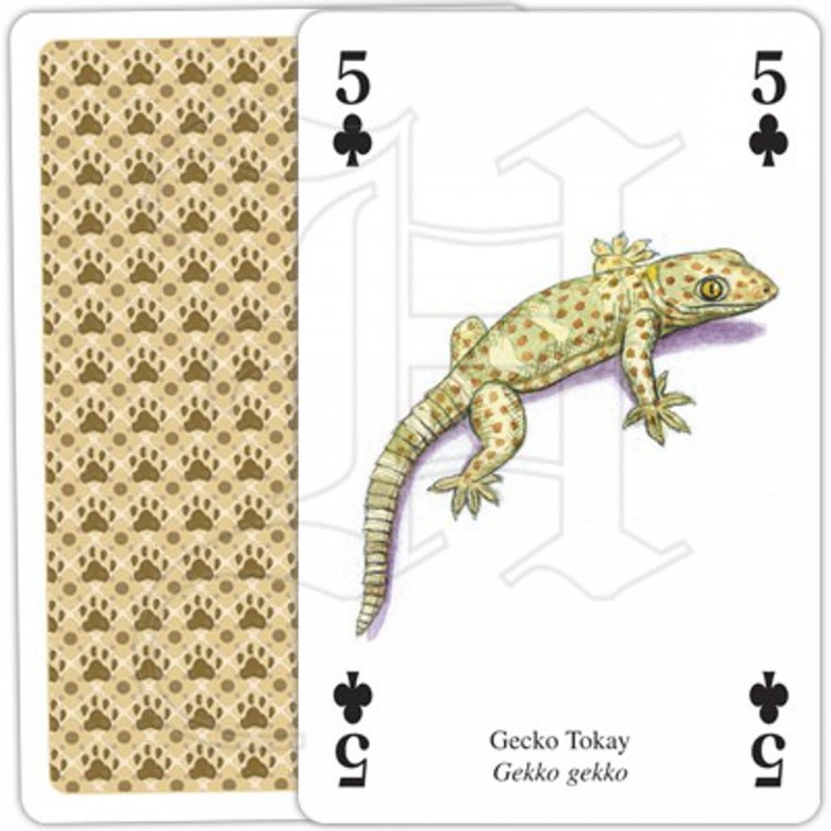 Jeu de cartes Animaux d'Asie