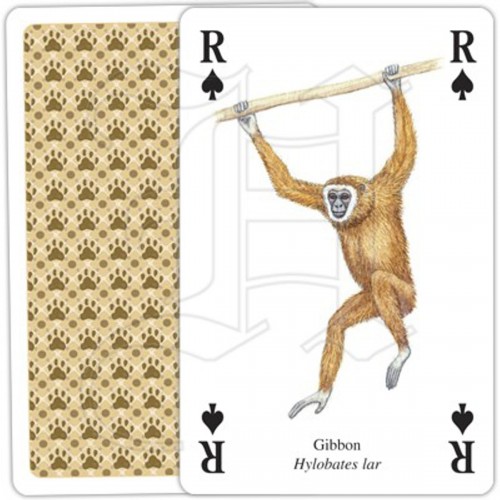 Jeu de cartes Animaux d'Asie