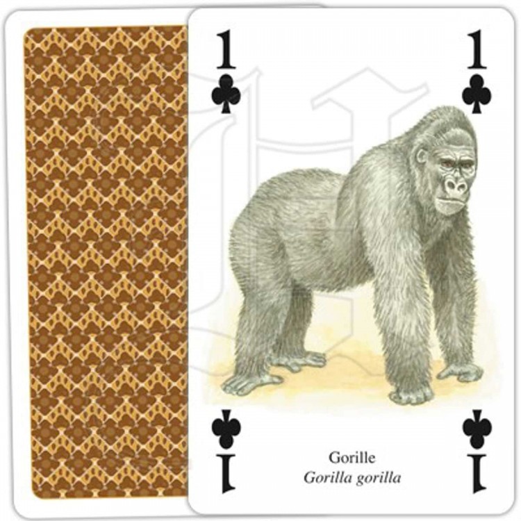Jeu de Cartes Animaux d'Afrique