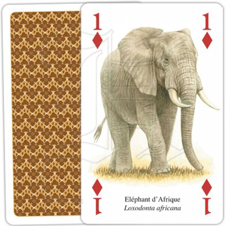 Jeu de Cartes Animaux d'Afrique