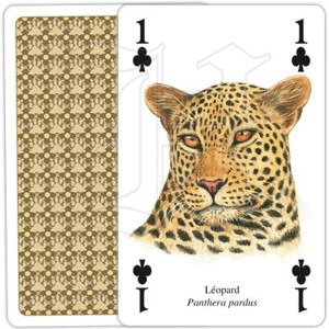 Jeu de Cartes Chats Sauvages 2