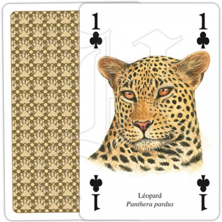 Jeu de Cartes Chats Sauvages