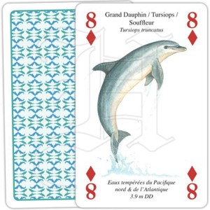 Jeu de Cartes Baleines et... 2