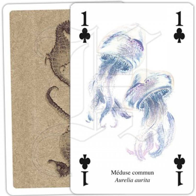 Jeu de Cartes Au Bord de la Mer