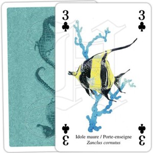 Jeu de Cartes Vie des Océans 2