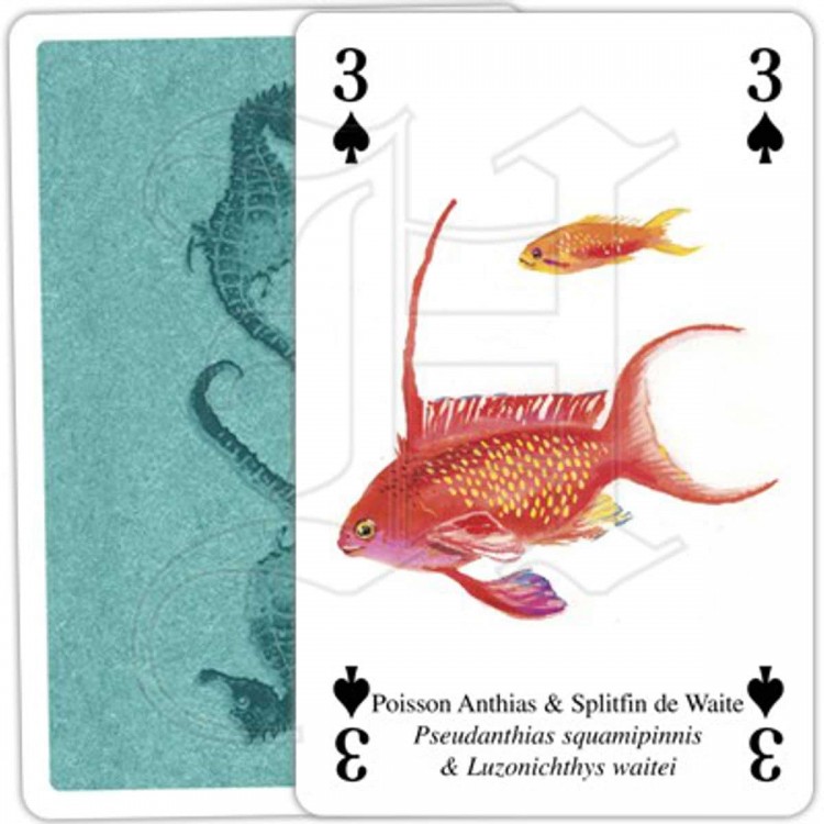 Jeu de Cartes Vie des Océans