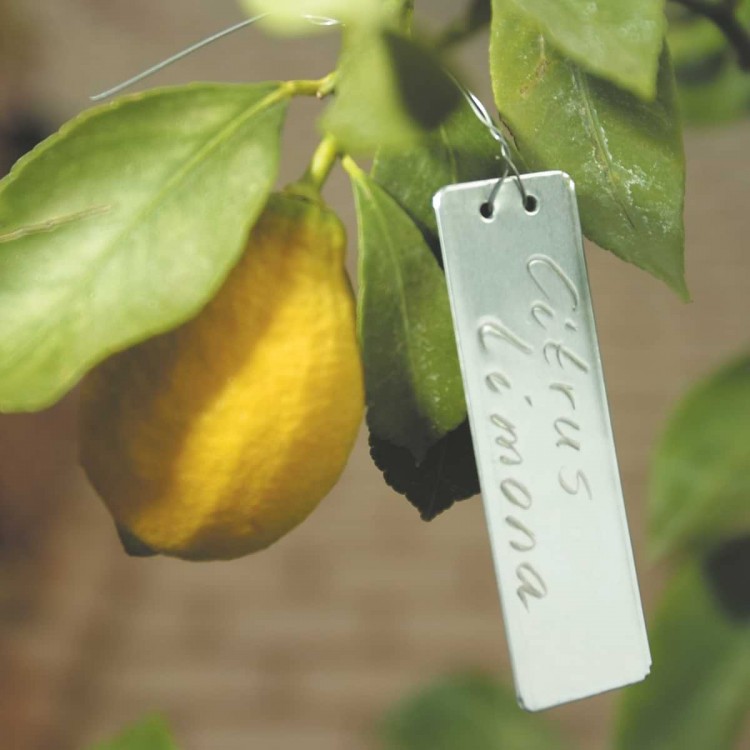 Etiquettes Aluminium Souple