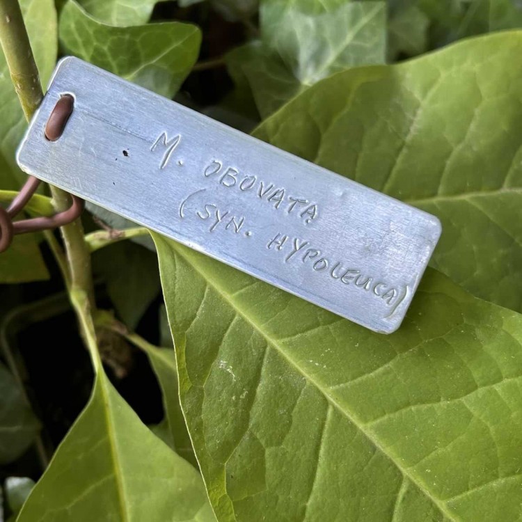 Etiquettes Aluminium Souple