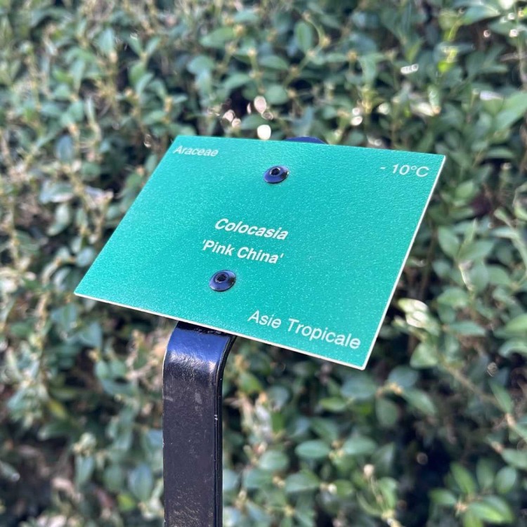 Support Signalétique 'Museum' Support Signalétique 'Museum'