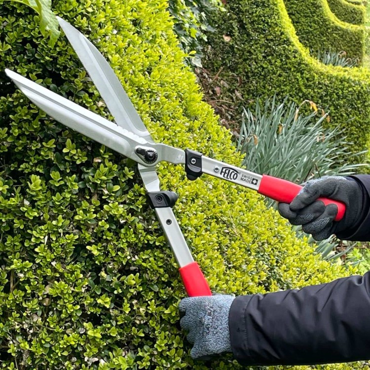 Cisailles Taille-Haies Felco 250