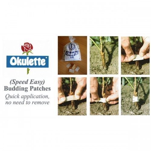 Attaches Okulette
