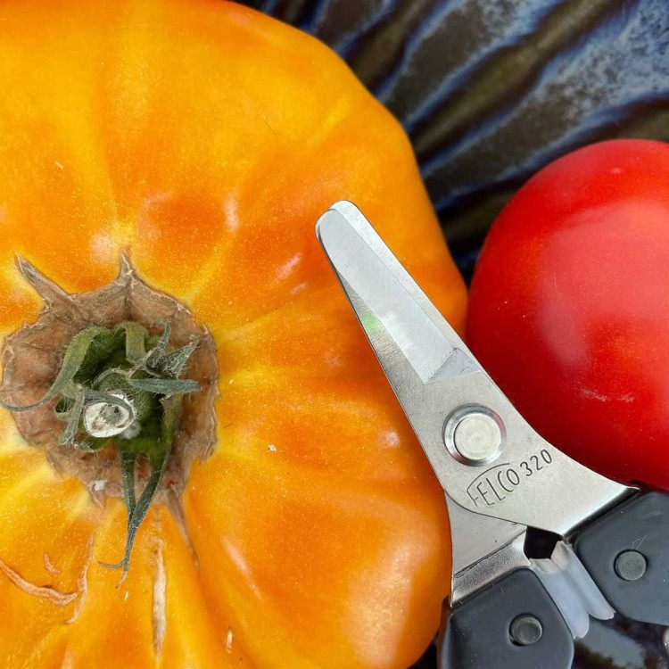 Epinette Lame Courbe Felco 320