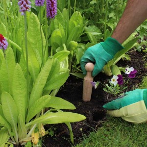 Plantoir de jardin en bois gradué 2