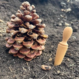 Mini Plantoir Semis 2