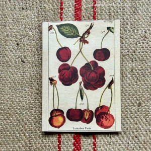 Cahier Cerises