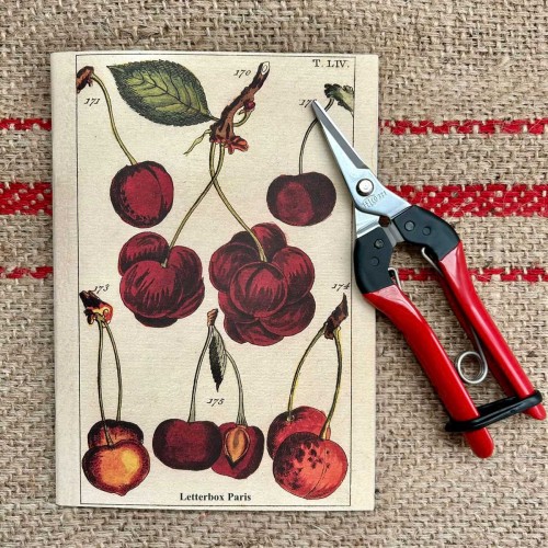 Cahier A5 cerises, cahier de notes