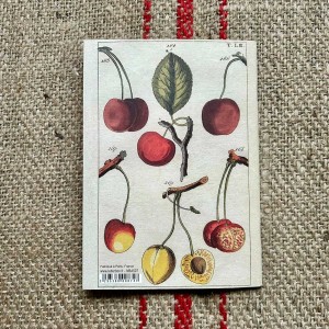 Cahier Cerises 2