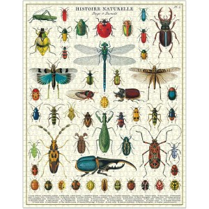 Puzzle Insectes / Bugs &... 2