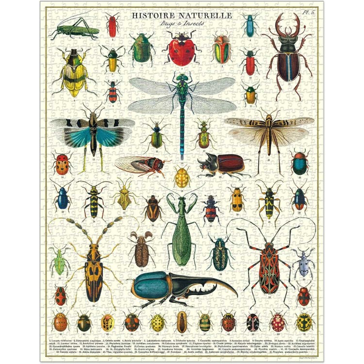 Puzzle 100 pièces Cavallini Insectes - Bugs & Insects