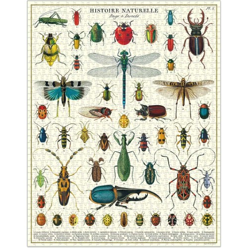 Puzzle 100 pièces Cavallini Insectes - Bugs & Insects