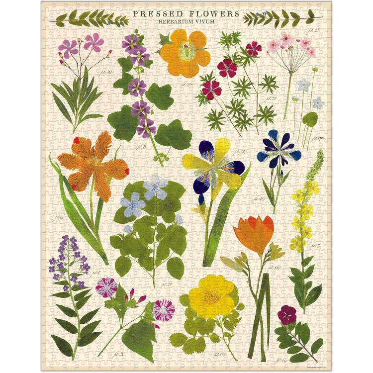 Puzzle Fleurs Pressées / Pressed Flowers de Cavallini, Puzzle 1000 pièces -  Botanique Editions