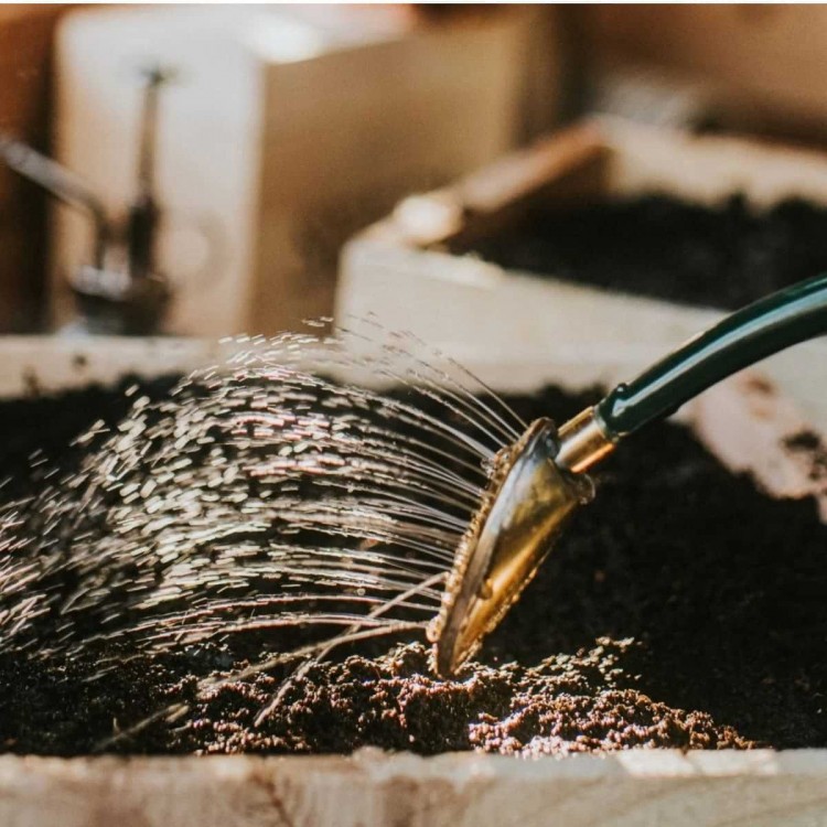 Coffret Arrosoir Anglais d'Intérieur...