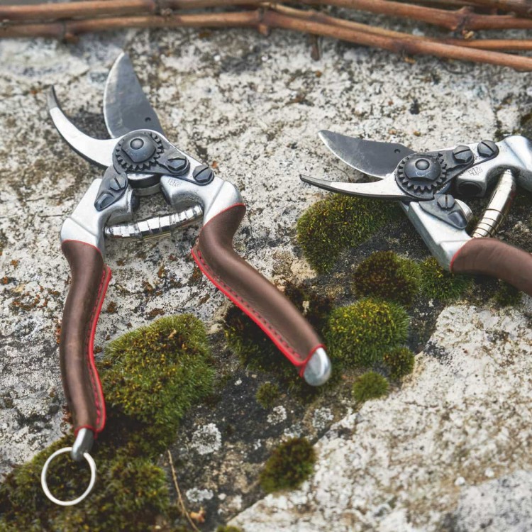 Felco 6 et Felco 8, gamme Elite