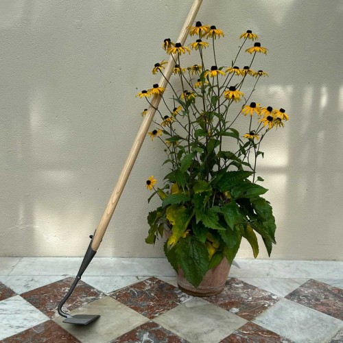 Binette Houe en acier carbone, Beet Hoe de DeWit