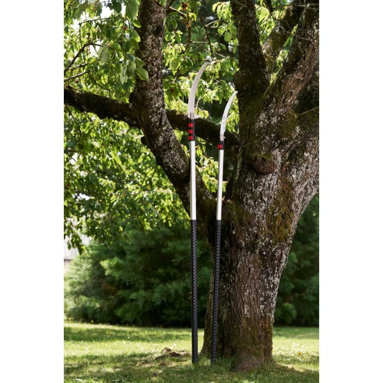 Scie Courbe sur Perche Felco 682 Scie Courbe sur Perche Felco 682