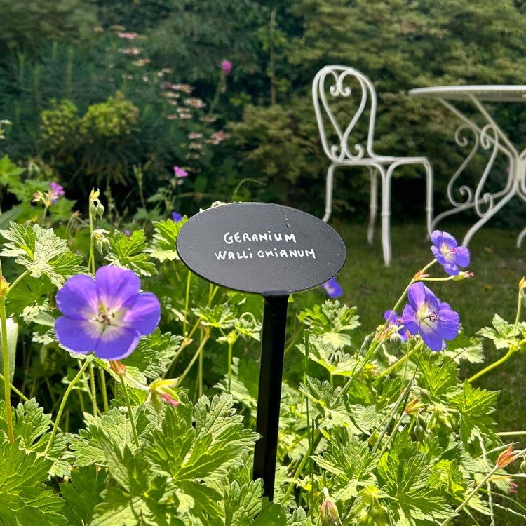 Support signalétique Museum avec Platine inclinée ovale