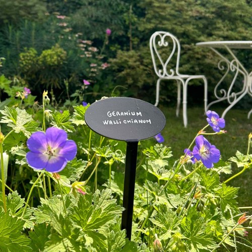 Support signalétique Museum avec Platine inclinée ovale