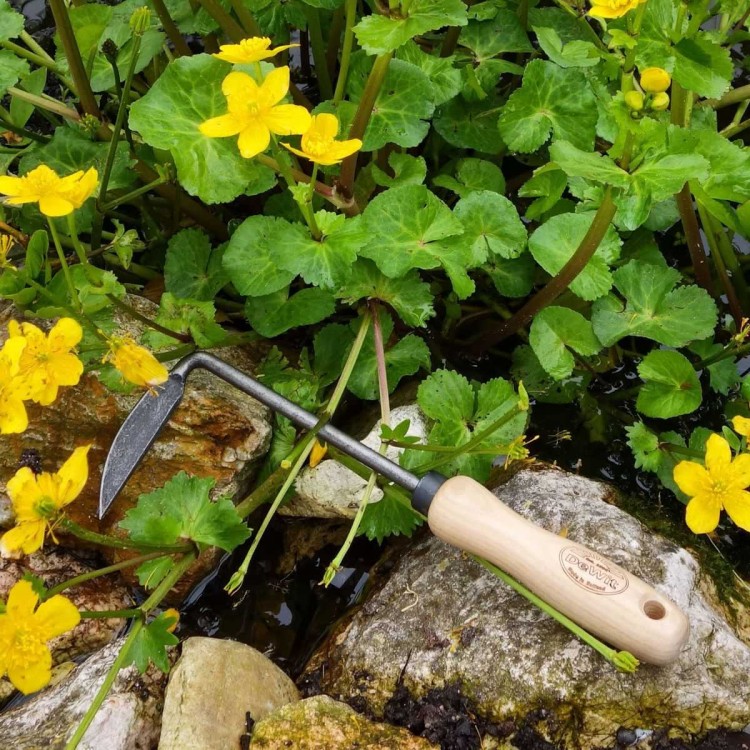 Désherbeur 'Cape Cod' Désherbeur 'Cape Cod'