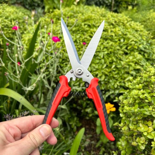 FELCO 456 en action – Taille de finition au jardin