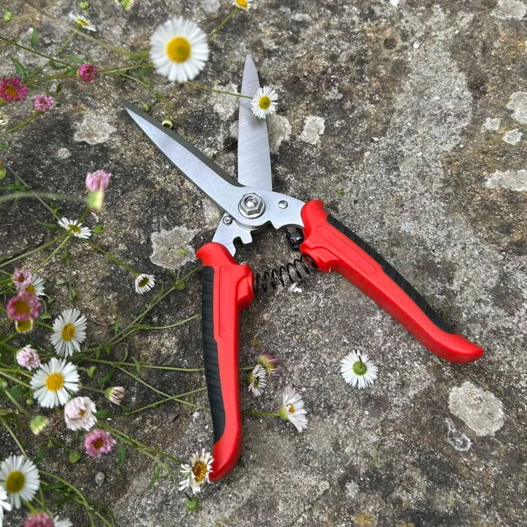 FELCO 456 en action – Taille des vivaces au jardin