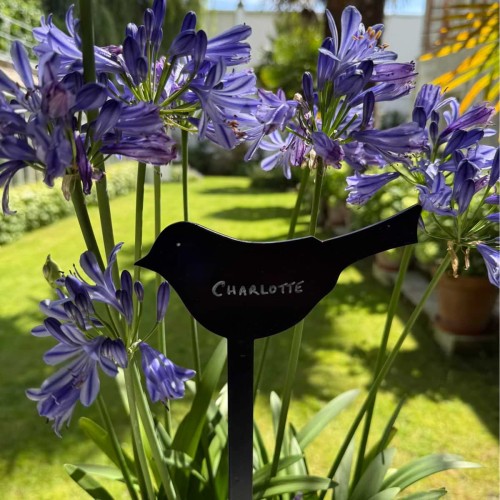 Etiquette support signalétique oiseau de jardin métal époxy noir en situation Agapanthe Charlotte